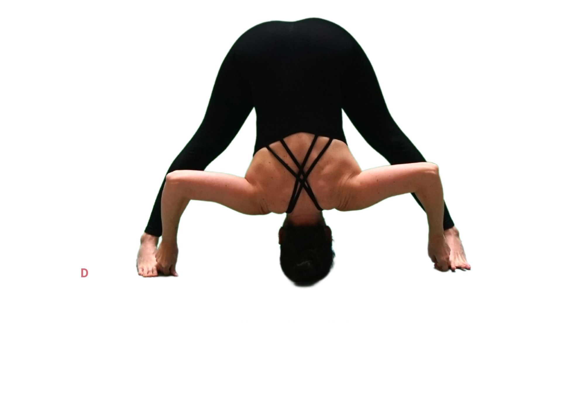Posture de yoga : prasarita padottanasana - flexion avant debout pieds écartés D
